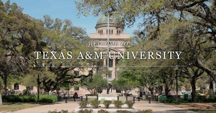 2020 International Freshman Scholarships At Texas A&M University – USA
