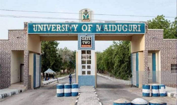 University of Maiduguri 3rd Batch Admission List For 2019/2020 Session Officially Released