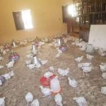 Covid-19: Classroom Converted To Poultry Farm