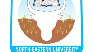 NORTH-EASTERN UNIVERSITY, GOMBE (NEU) ANNOUNCES 50%  SCHOLARSHIP FOR SCIENCE AND TECHNOLOGY PROGRAMMES