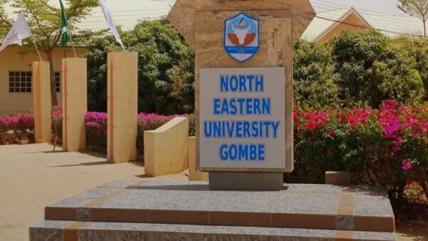 NORTH-EASTERN UNIVERSITY, GOMBE GETS NUC ACCREDITATION FOR PHARMACY AND 2 OTHER ACADEMIC PROGRAMES
