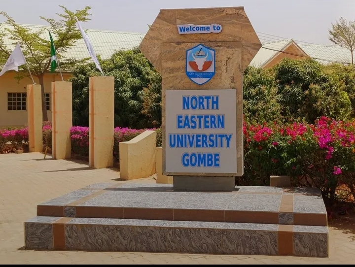 NORTH-EASTERN UNIVERSITY, GOMBE GETS NUC ACCREDITATION FOR PHARMACY AND 2 OTHER ACADEMIC PROGRAMES